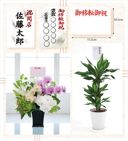 拡大画像3