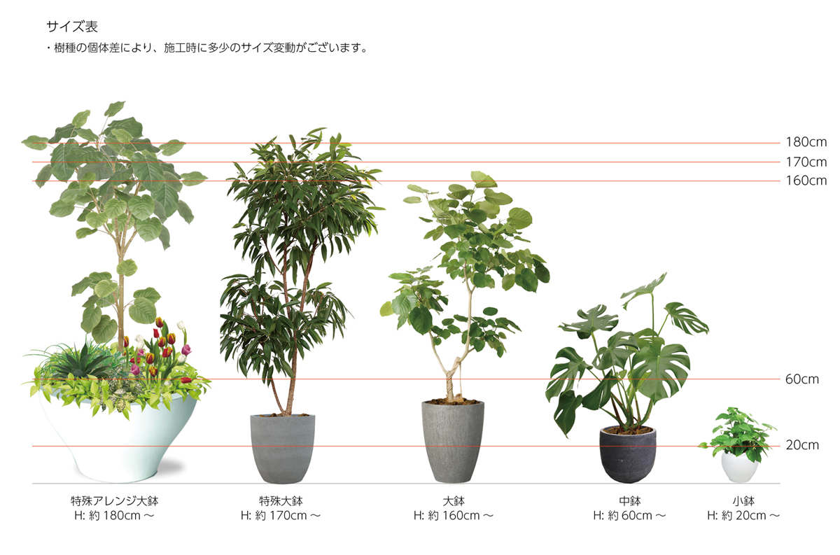 商品のサイズ
