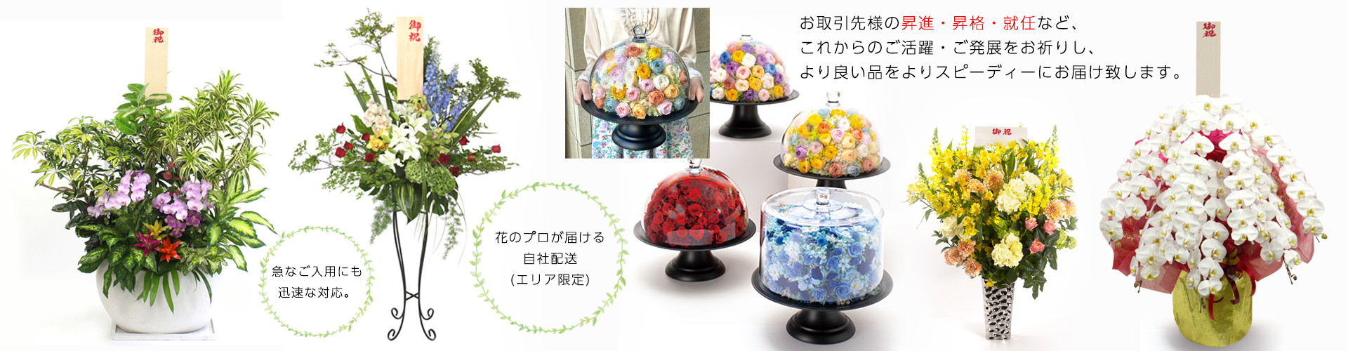 法人向け】スタンド花・胡蝶蘭など | 大阪の老舗 サトウ花店
