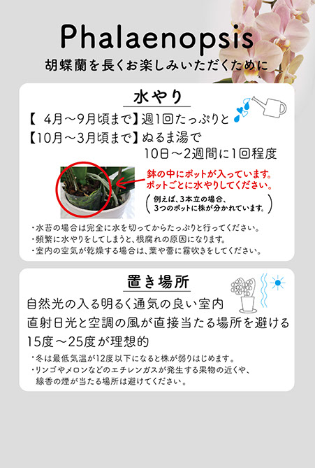 リーフレット