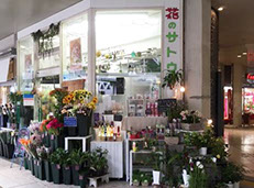 サトウ花店 Shop情報
