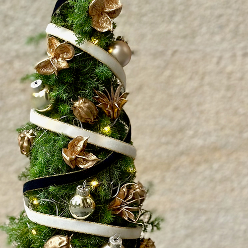 ピカピカツリー'24