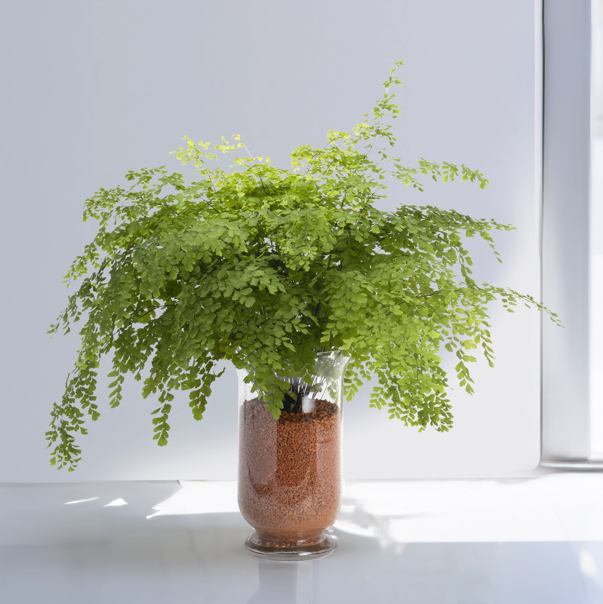 2026Mother'sDay Gift