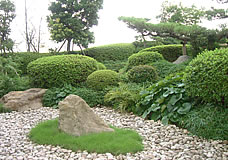 造園画像