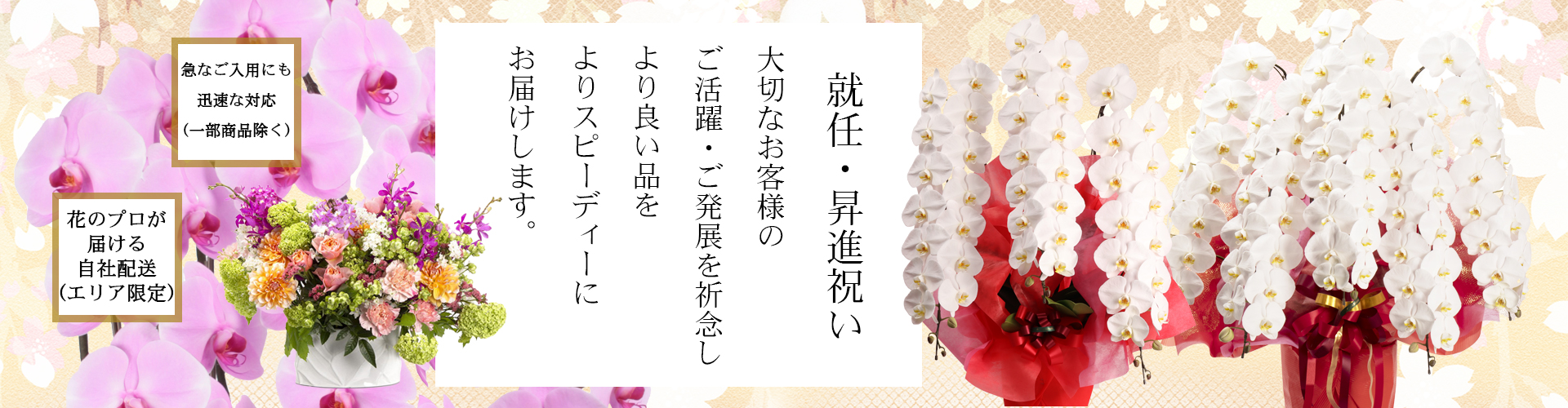 SATOH HANAMISE ～SINCE1928 大阪・中之島～