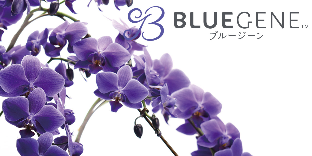 BlueGene