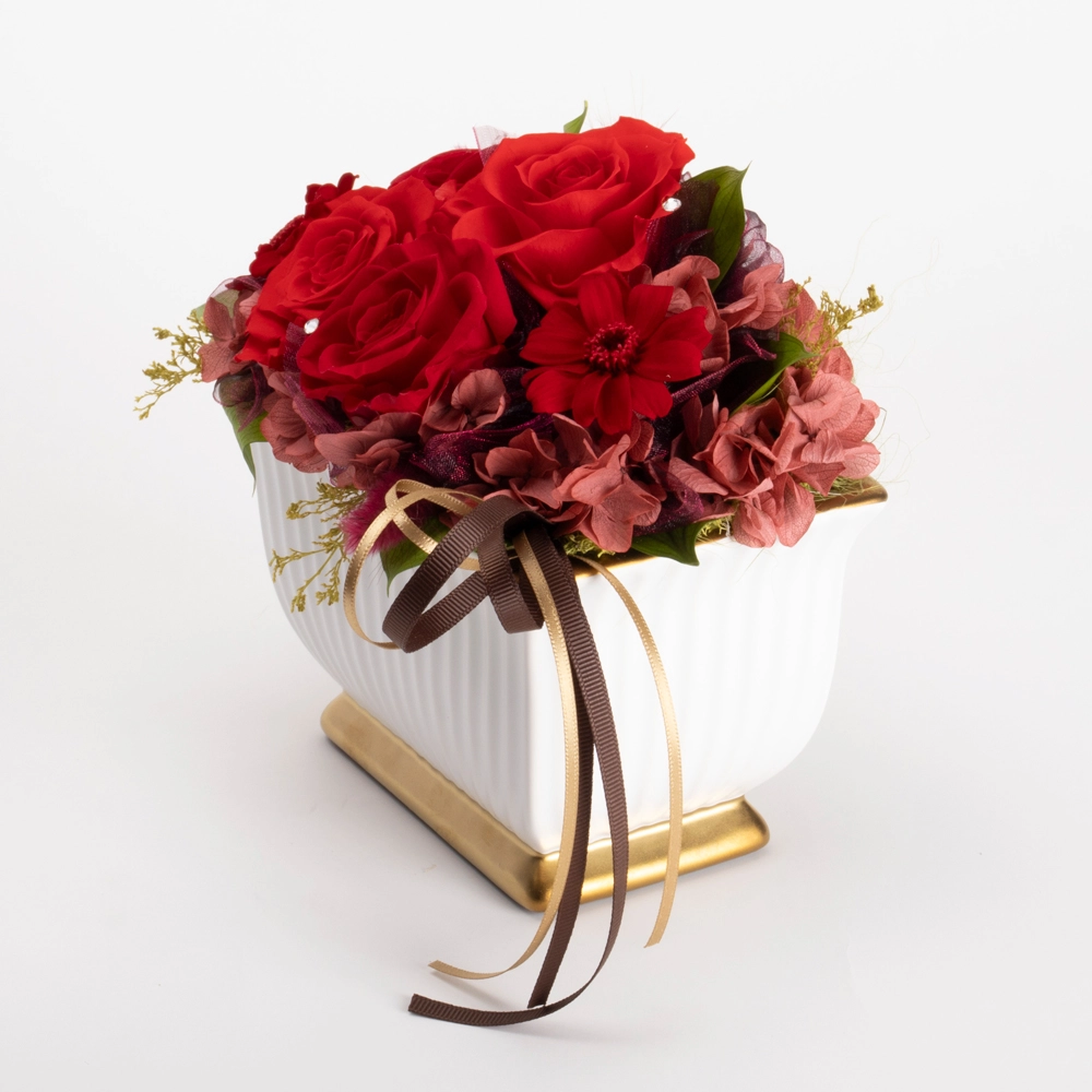 IG-pr1025