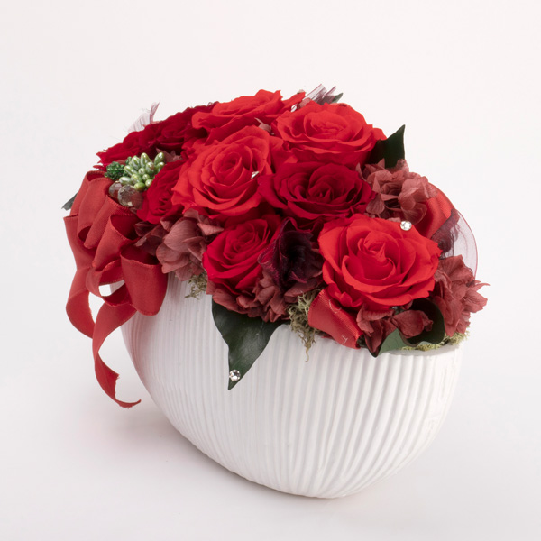 IG-pr2324