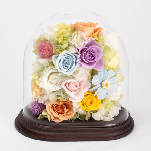 IG-pr2524