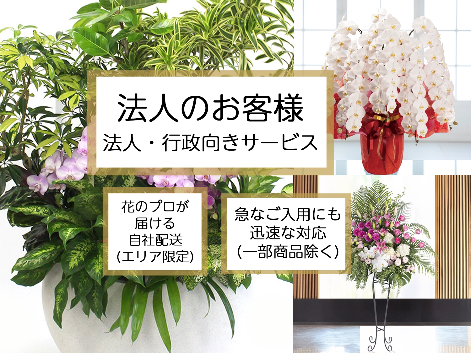 法人向けサービス